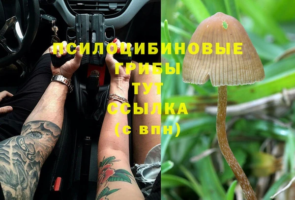марки lsd Богданович