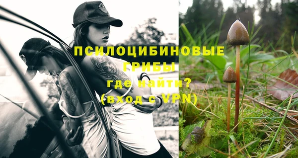 apvp Козловка