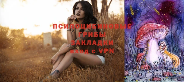прущая мука Богородск